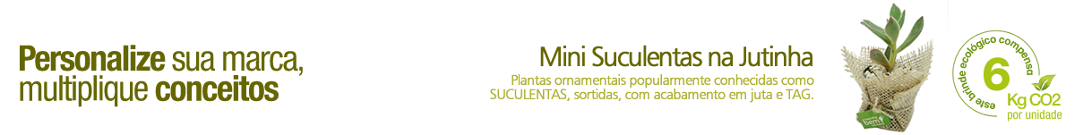 TI_SUCULENTAS